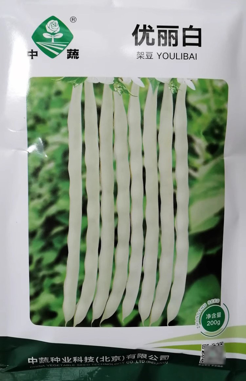 中蔬优丽白架豆种子四季豆芸豆九粒白种籽嫩荚扁圆脆嫩豆角