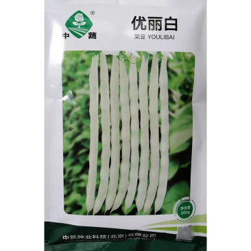 中蔬优丽白架豆种子四季豆芸豆九粒白种籽嫩荚扁圆脆嫩豆角