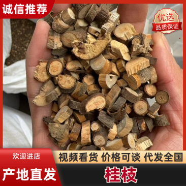 桂枝桂皮大量现货供应，品种齐全，可视频看货欢迎电联