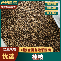 广西桂枝桂类货品齐全，一手货源价格可谈，品质保证欢迎电联