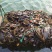 【海带】海带头产地直销量大质优价格优惠欢迎采购咨询