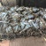干海带产地直销质量保证价优欢迎各大老板前来采购咨询