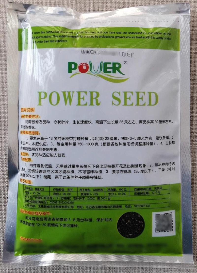 河南荆芥种子普威大叶荆芥种籽大田高产蔬菜荆芥香味浓郁