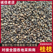 桂枝产地直销量大质优规格齐全支持视频看货欢迎采购