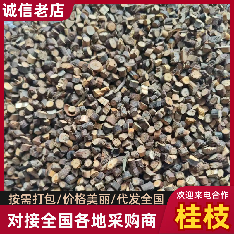桂枝产地直销量大质优规格齐全支持视频看货欢迎采购