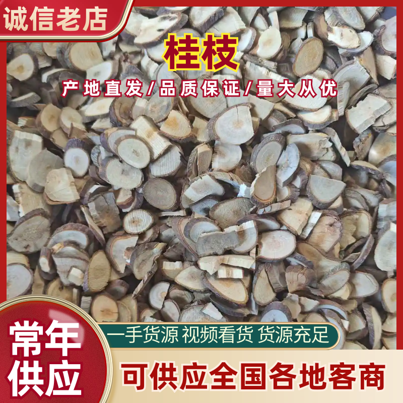 桂枝基地直销量大质优保质保量欢迎各大老板采购咨询
