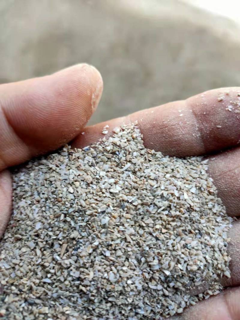 东北高钙水洗贝壳粉，陈年老贝壳含钙量高欢迎来电洽谈