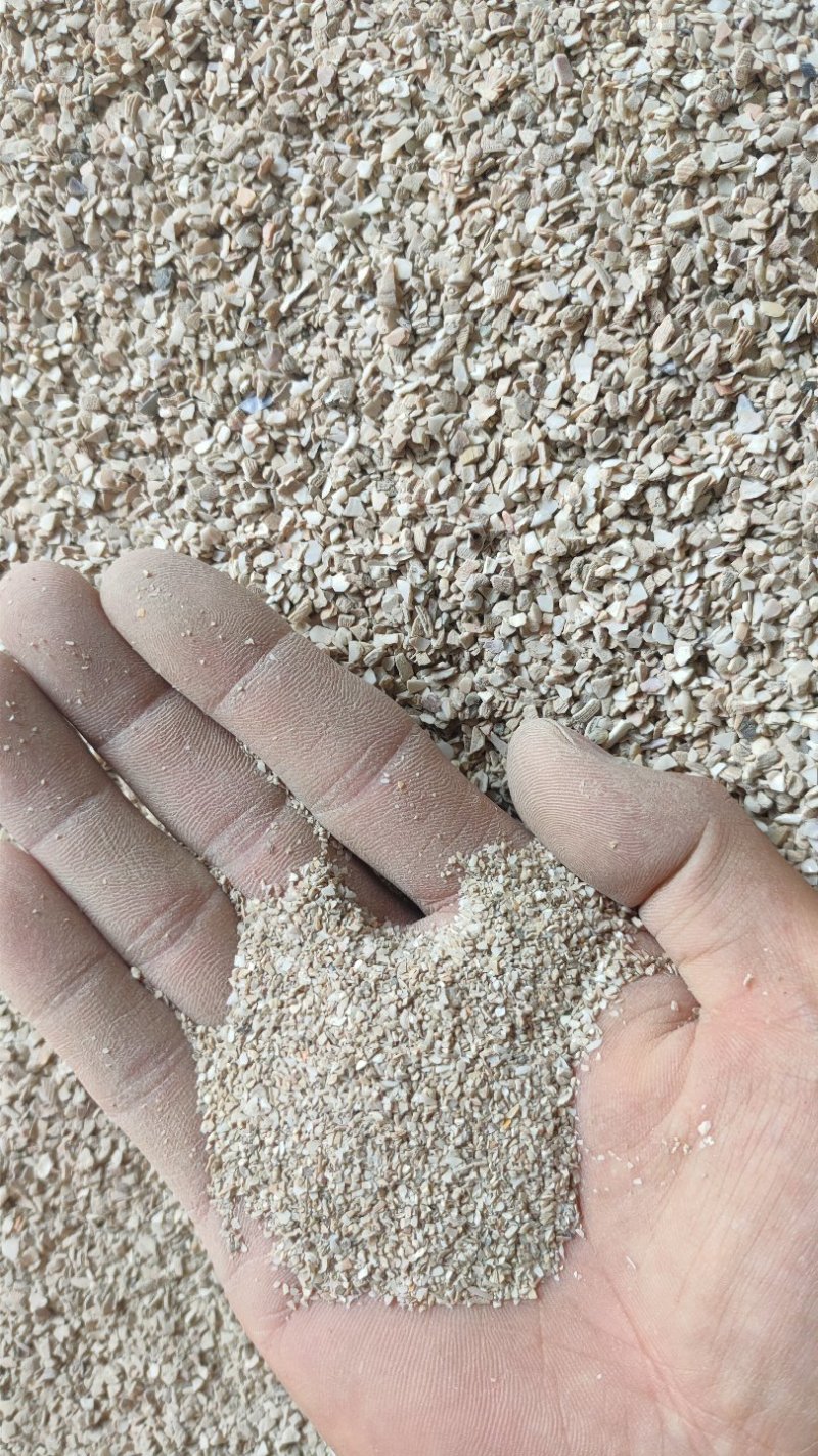 东北高钙水洗贝壳粉，陈年老贝壳含钙量高欢迎来电洽谈