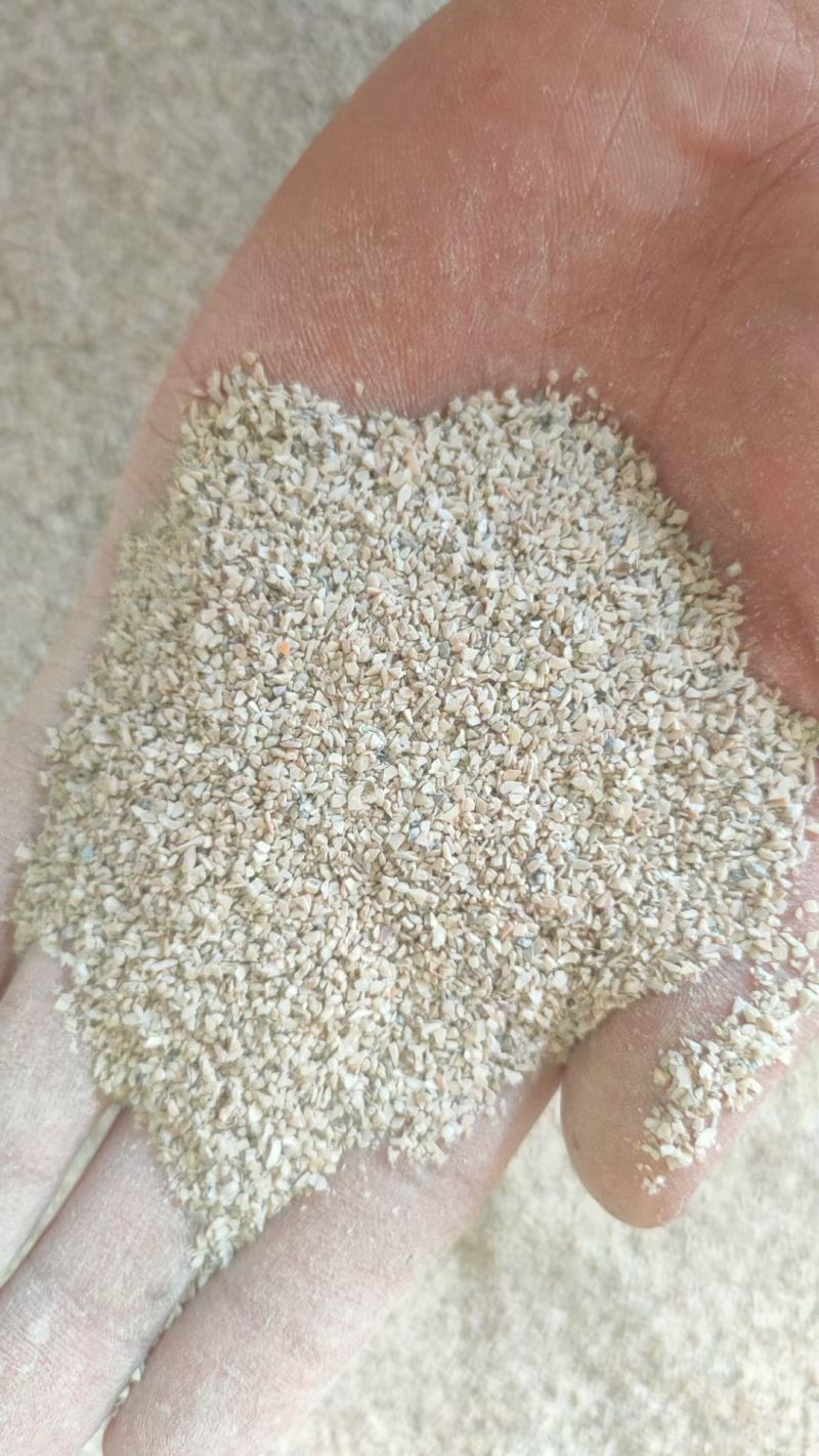 东北高钙水洗贝壳粉，陈年老贝壳含钙量高欢迎来电洽谈