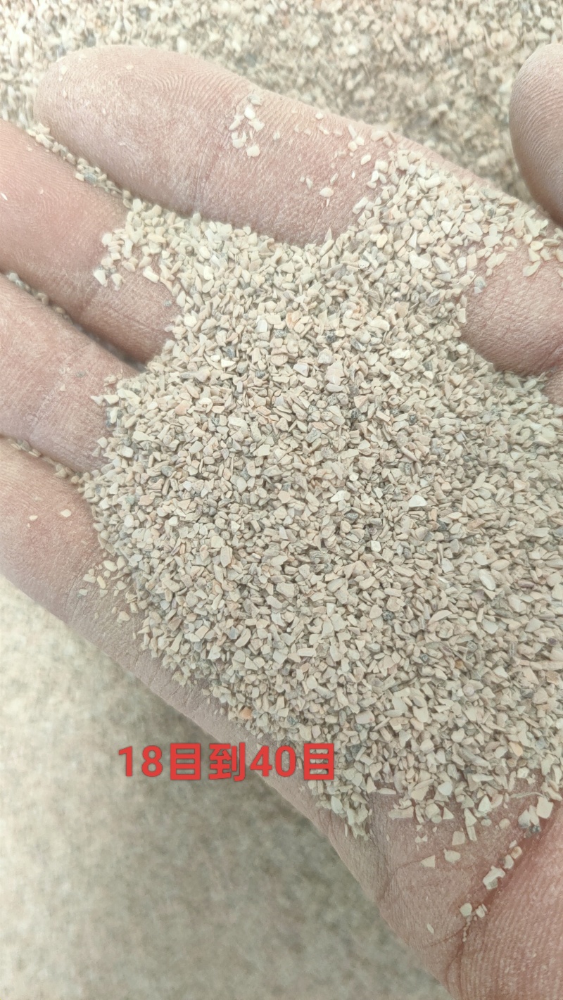 东北高钙水洗贝壳粉，陈年老贝壳含钙量高欢迎来电洽谈