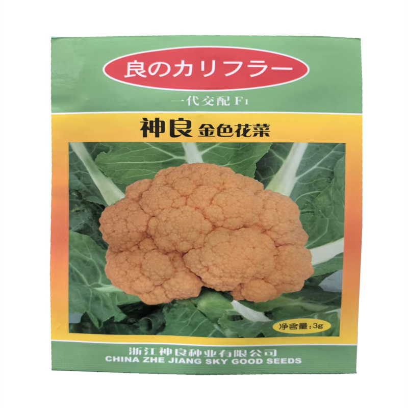 神良金色花菜种子80天黄花菜种子黄菜花种子高产基地