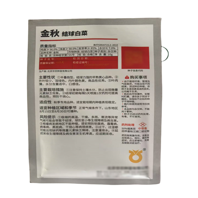 金秋白菜种子早熟黄心大白菜种子基地高产