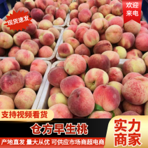 仓方早生桃山东毛桃脆甜多汁基地直供品质保证代发全国