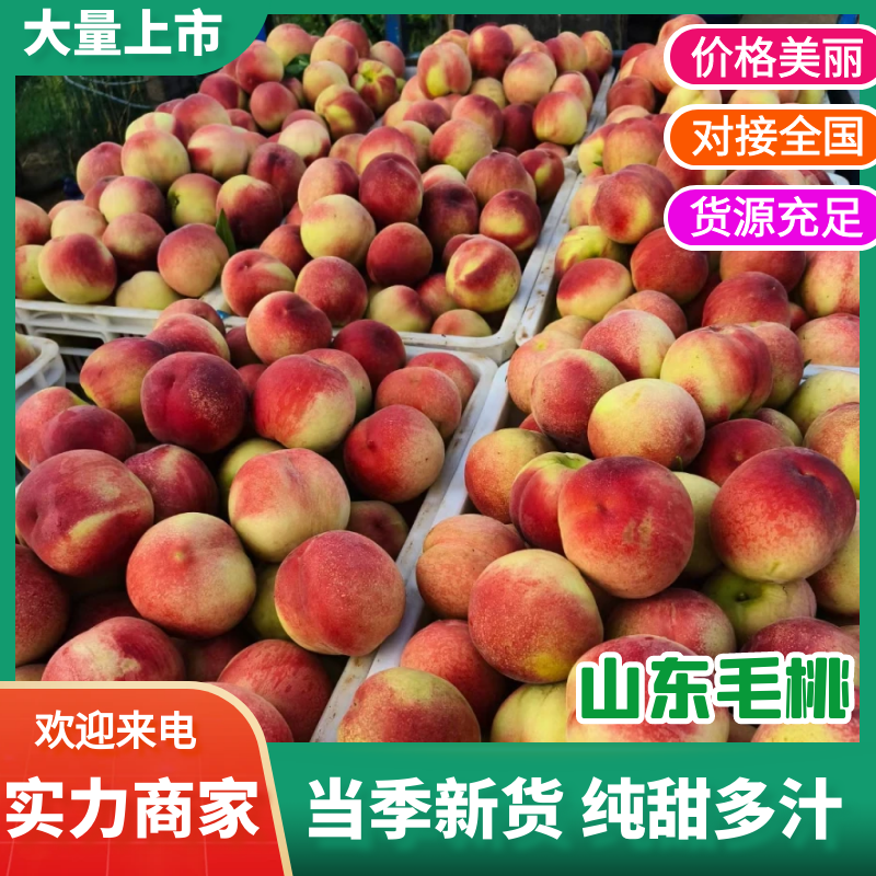 红桃费县红桃万亩基地持续供应对接市场电商商超