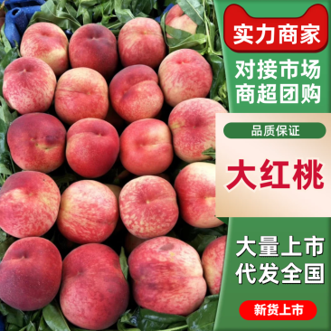 大红桃费县毛桃山东大红桃脆甜多汁量大从优