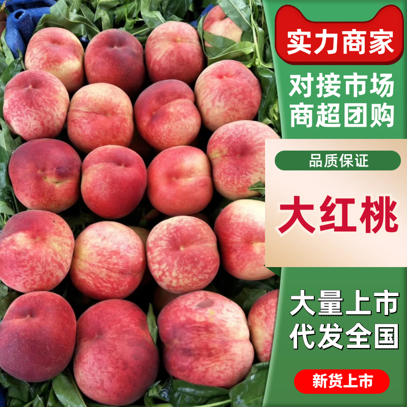 大红桃费县毛桃山东大红桃脆甜多汁量大从优