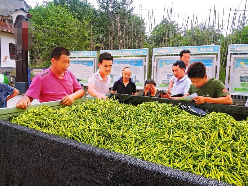 吴忠干黄花菜按需求分拣打包有网袋纸箱框子等无硫等级齐全