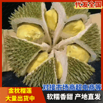 泰国金枕榴莲品质保证货源充足量大从优价格优惠