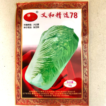 义和精选78大白菜种子球型合抱抗病叶色深绿叶柄白绿