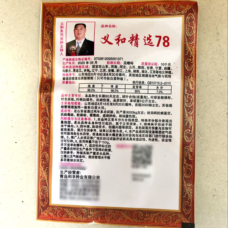 义和精选78大白菜种子球型合抱抗病叶色深绿叶柄白绿