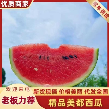 精品露天美都西瓜产地直发量大从优质量保证欢迎咨询