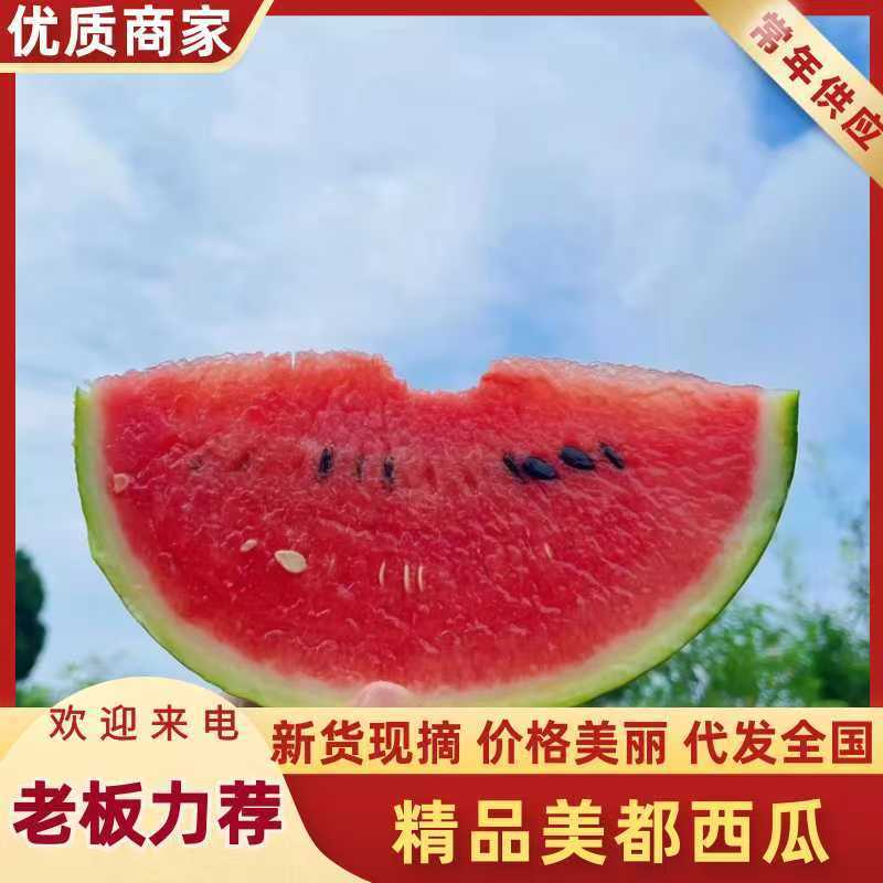 露天美都西瓜红米802实力种植户一手货源量大质优价格实惠