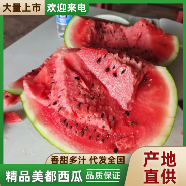 露天美西瓜红蜜802，口感脆甜化渣，货源充足可视频看货，