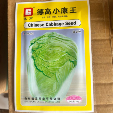德高小康王白菜种子早熟抗病帮薄耐白耐35度高温
