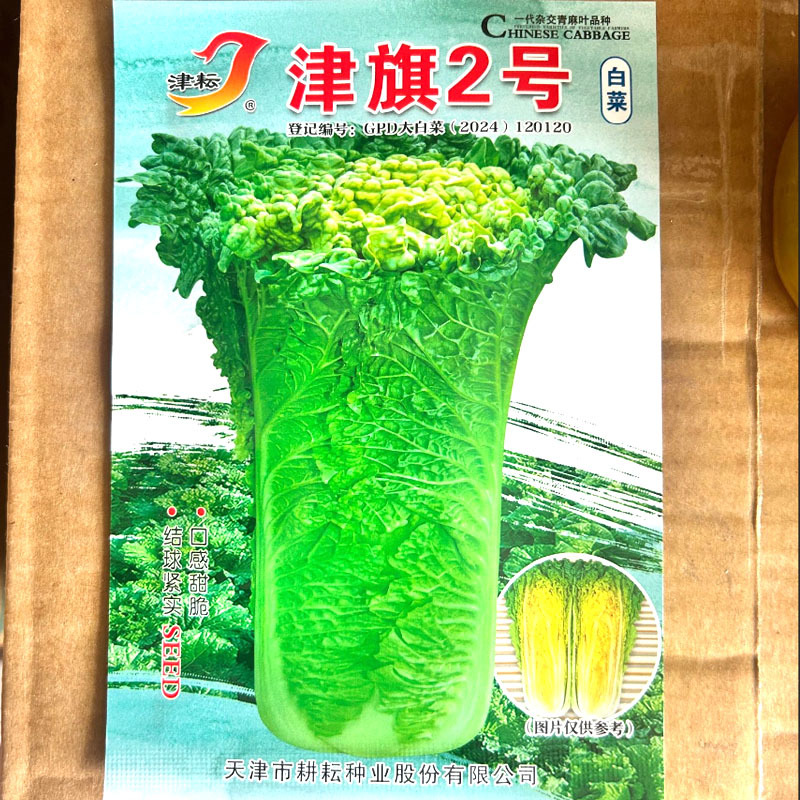 津旗2号大白菜种子结球紧实口感甜脆直筒矮桩青麻叶种
