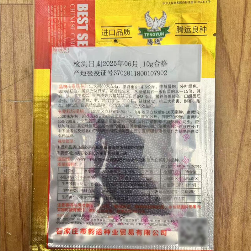 红金宝白菜种子球内桔红色彩色型白菜种子抗三大病害