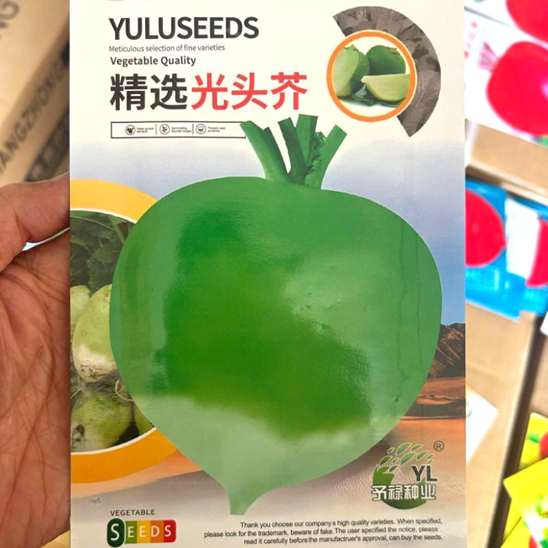 精选光头芥菜种子根肉脆嫩芥子辣味浓叶簇半直立