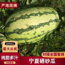 宁夏硒砂瓜已大量上市，欢迎各位客商选择宁夏硒砂瓜