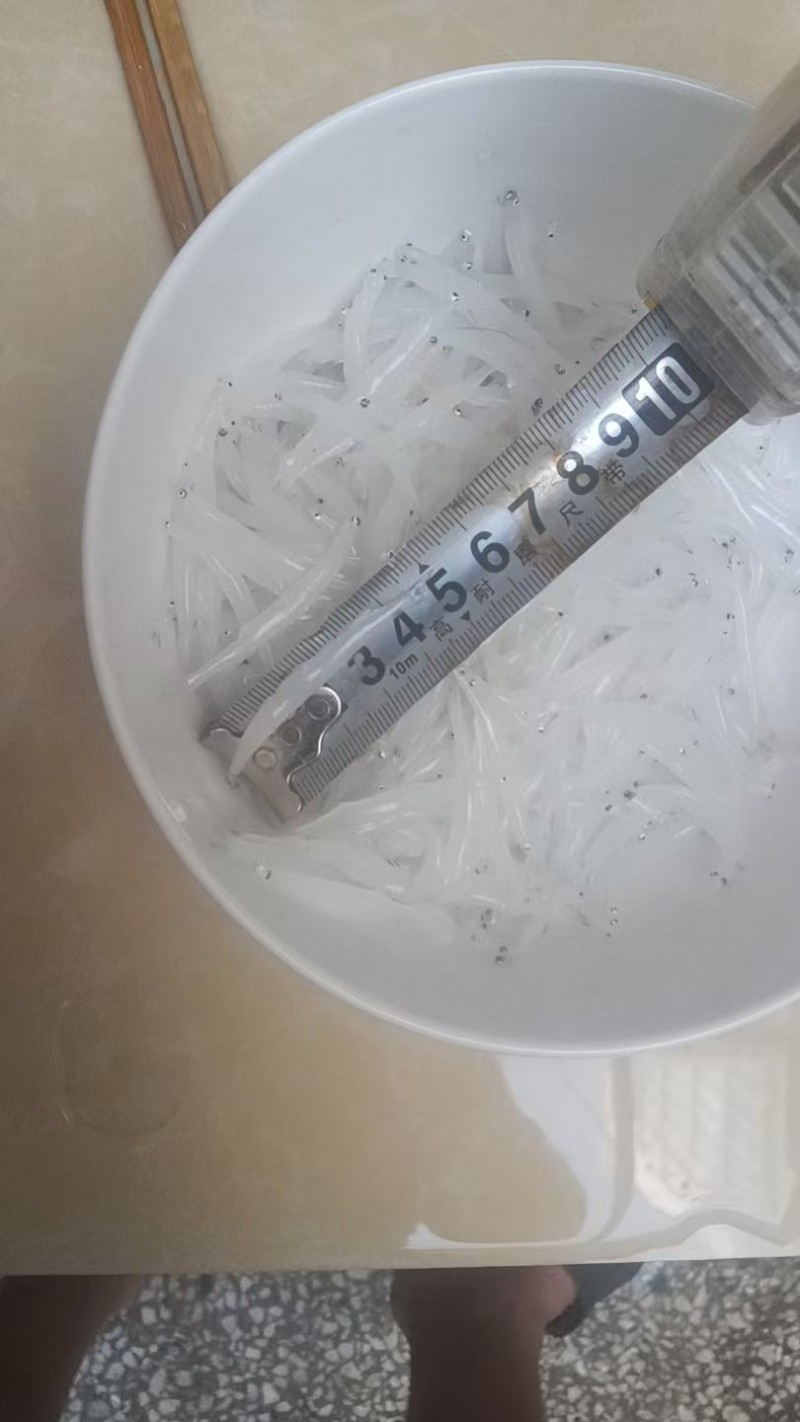 银鱼大量有货产地直发对接各大平台价格美丽