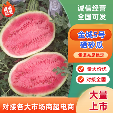 【精品西瓜】金城五号硒砂瓜15斤打底产地直销