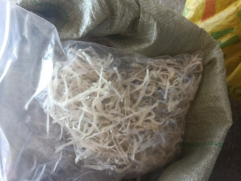 银鱼大量有货产地直发对接各大平台价格美丽