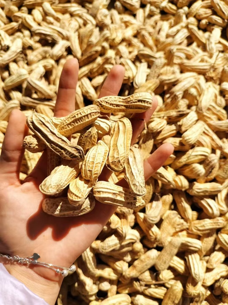 新货上市云南黑花生产地直发一手货源对接全国量大从优