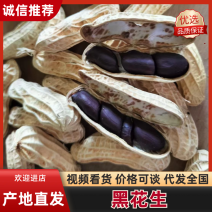 新货上市云南黑花生产地直发一手货源对接全国量大从优