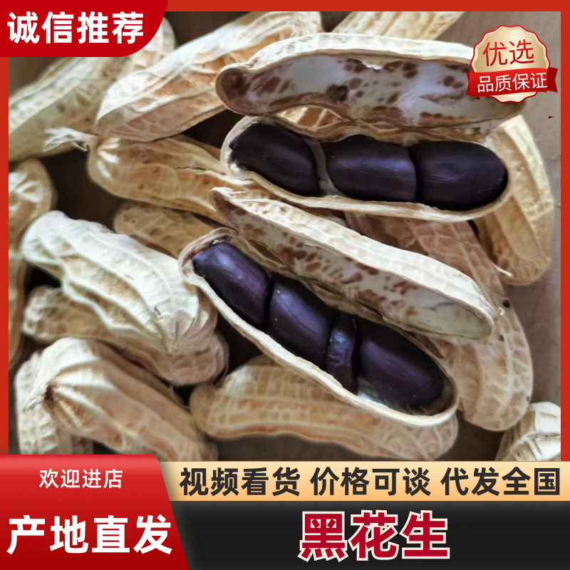 新货上市云南黑花生产地直发一手货源对接全国量大从优