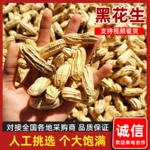 黑花生产地直发品质保障视频看货量大优惠