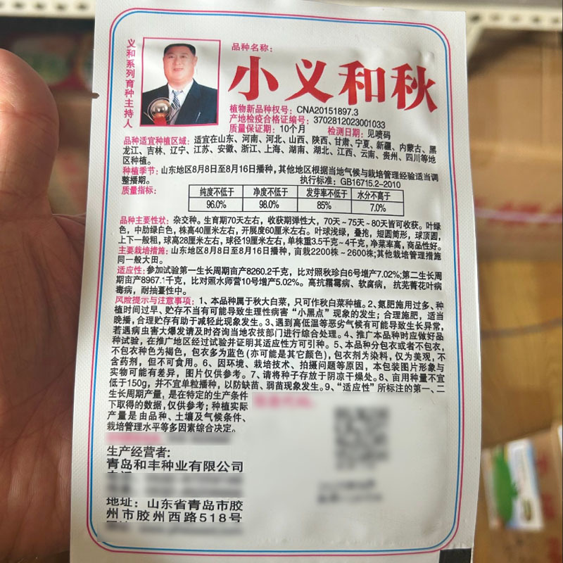 小义和秋大白菜种子杂交种净菜率高秋季耐热白菜种子