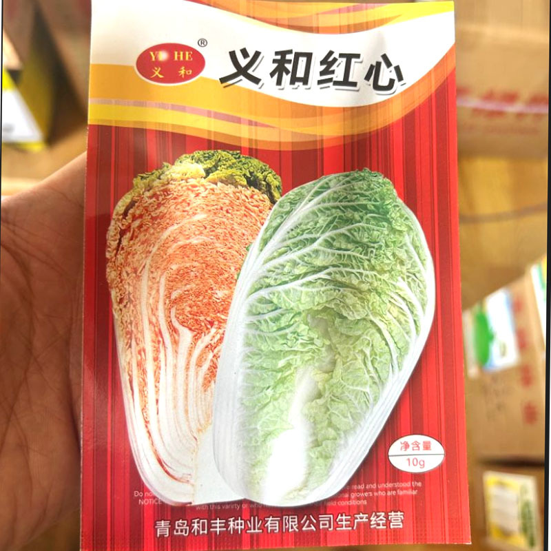 义和红心大白菜种子杂交秋中熟白菜种子口感好