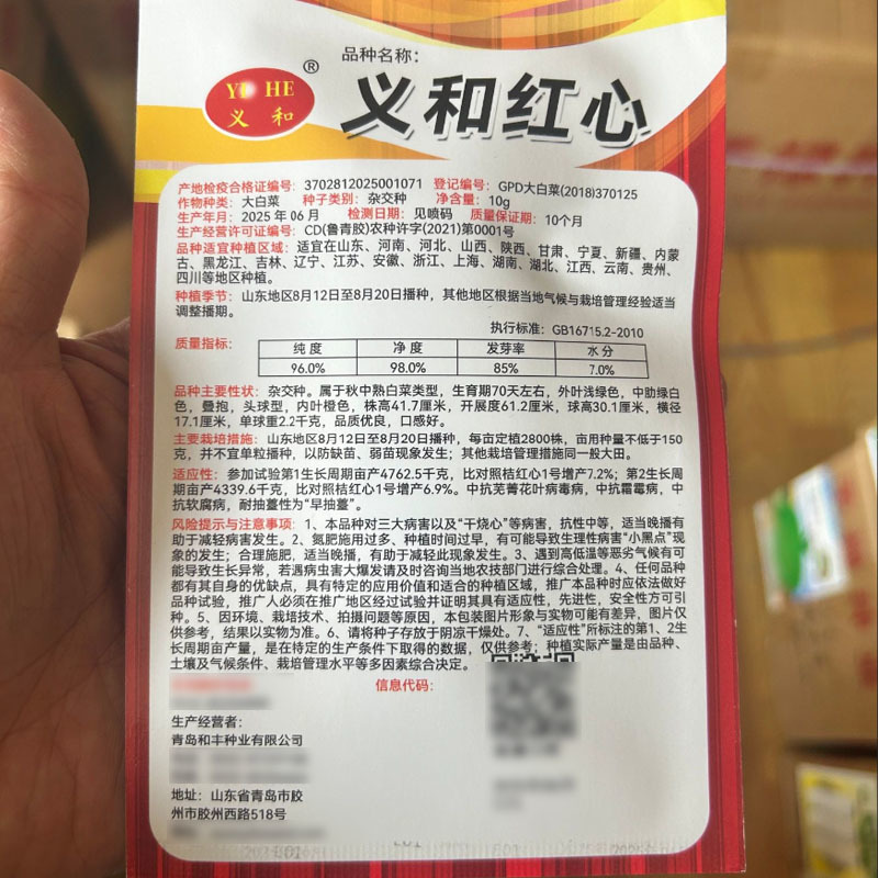 义和红心大白菜种子杂交秋中熟白菜种子口感好