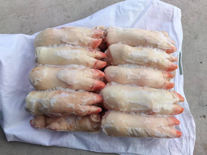 猪蹄大量有货一手货源诚信经营价格美丽