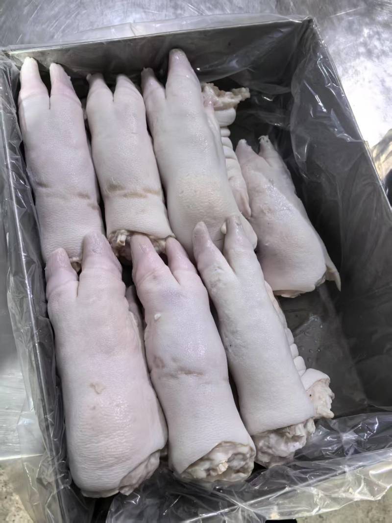 猪蹄大量有货一手货源诚信经营价格美丽
