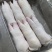 猪蹄大量有货一手货源诚信经营价格美丽