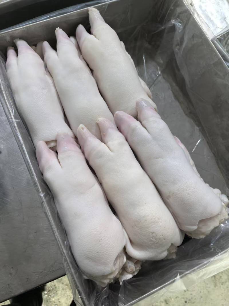 猪蹄大量有货一手货源诚信经营价格美丽