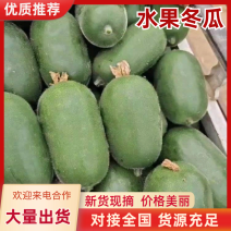 山东优选水果冬瓜产地直供保质保量供货对接全国