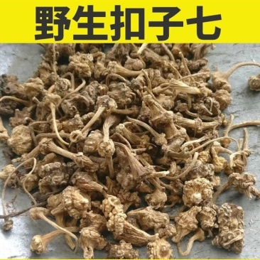 珠子参/扣子七/鸡腰参/金线吊葫芦/白地瓜/正品干货