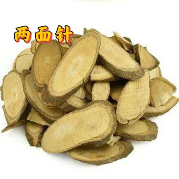 两面针