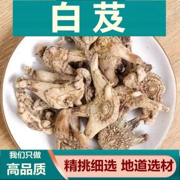 白芨/白及切片